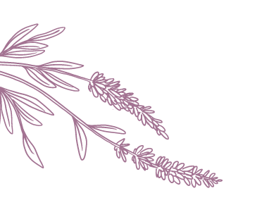 lavanda