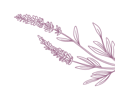 lavanda2