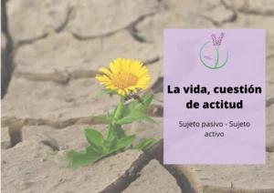 cuestión de actitud