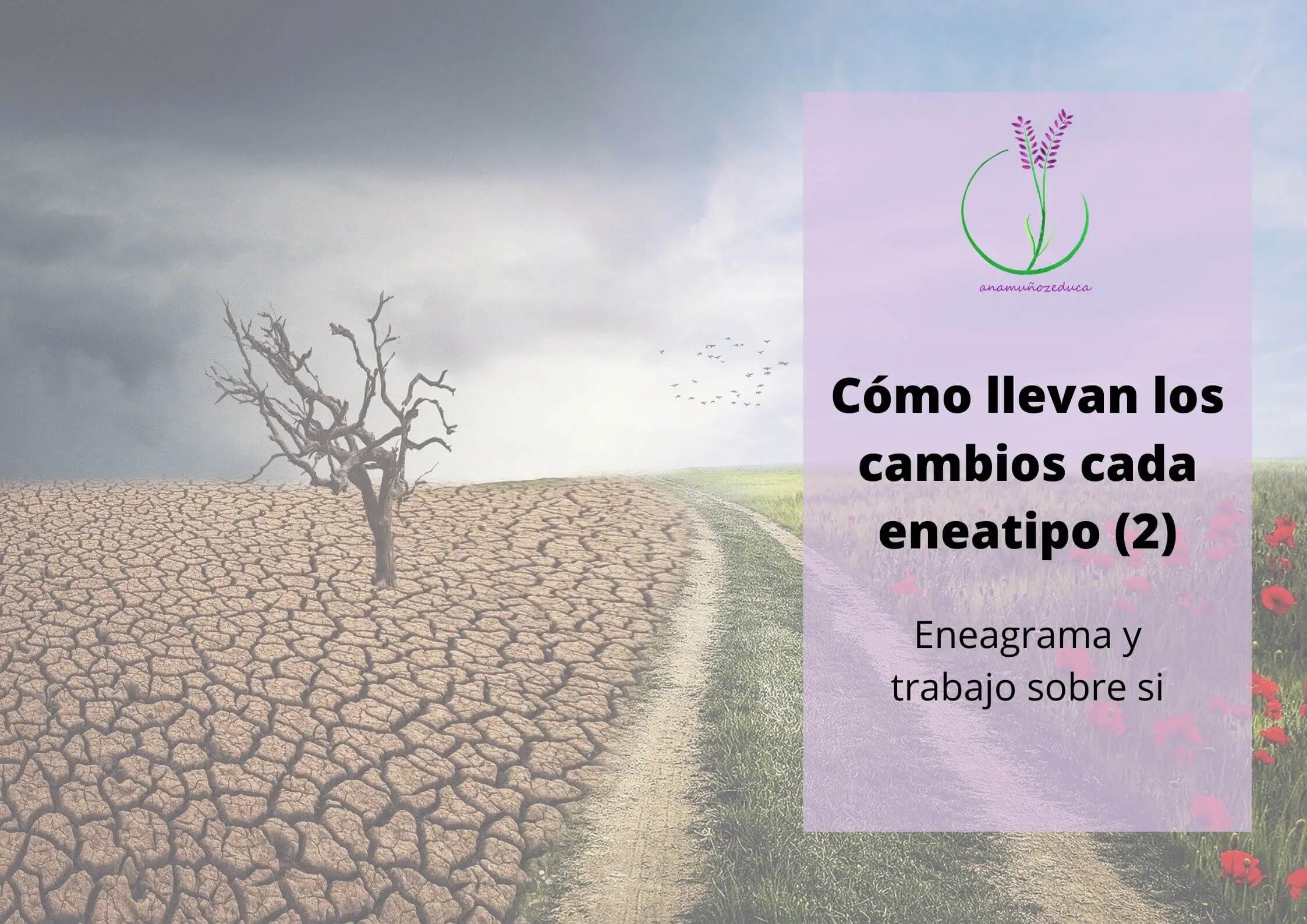 Cómo afectan los cambios a cada eneatipo