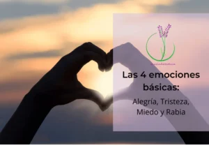 Las 4 emociones basicas