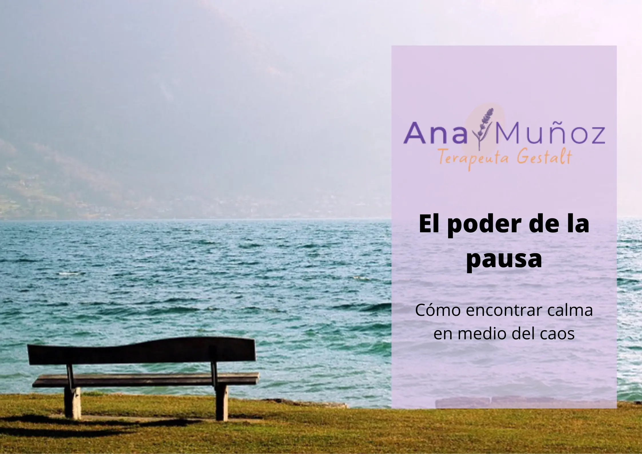 El poder de la pausa cómo encontrar calma en medio del caos